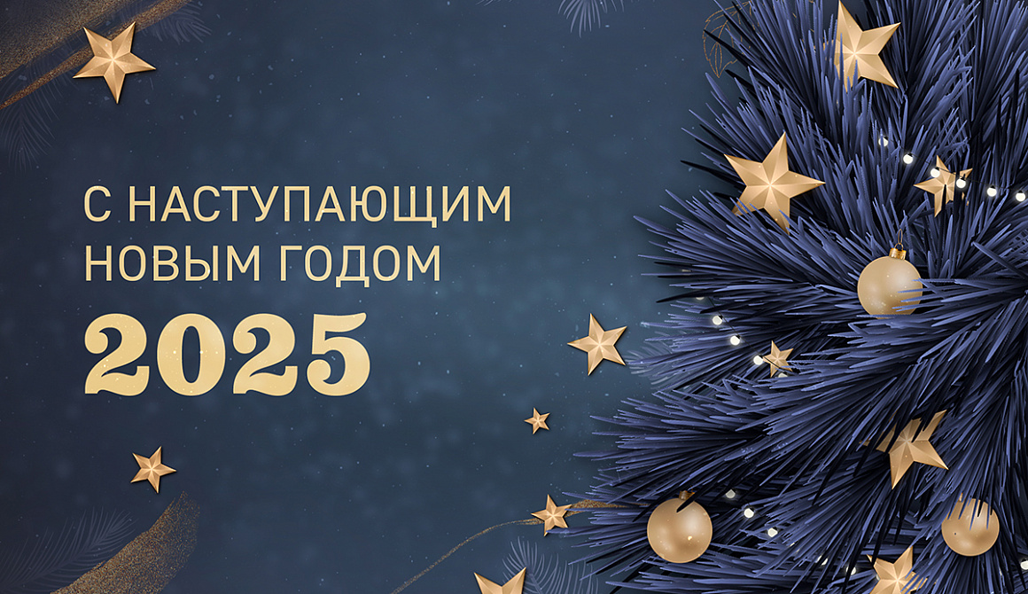 С наступающим Новым Годом 2025!