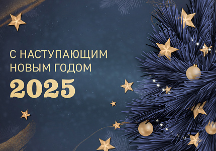 С наступающим Новым Годом 2025!